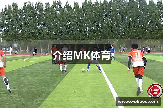 介绍MK体育